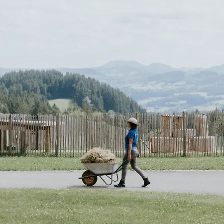 Heimatel - Hochberg Appartement