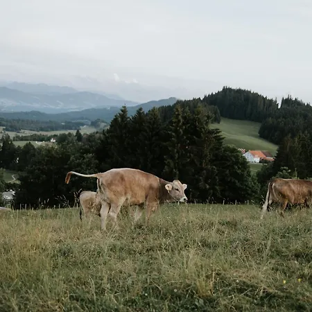 Heimatel - Hochberg Appartement Argenbuhl